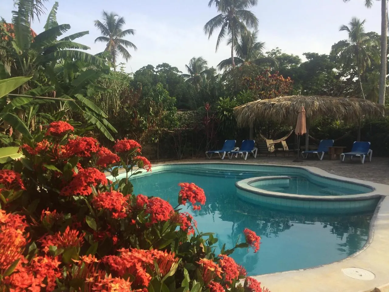 El Flamboyan Apartments Las Terrenas